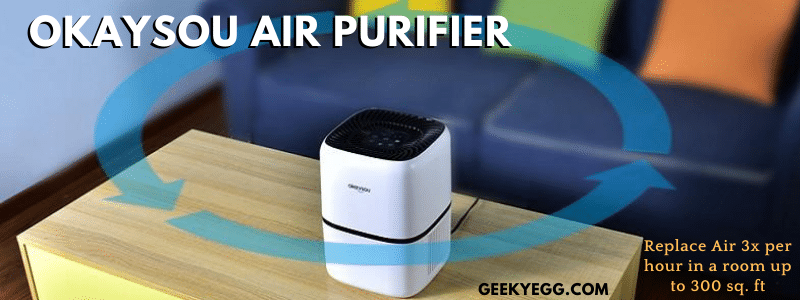 OkaySou Air Purifier